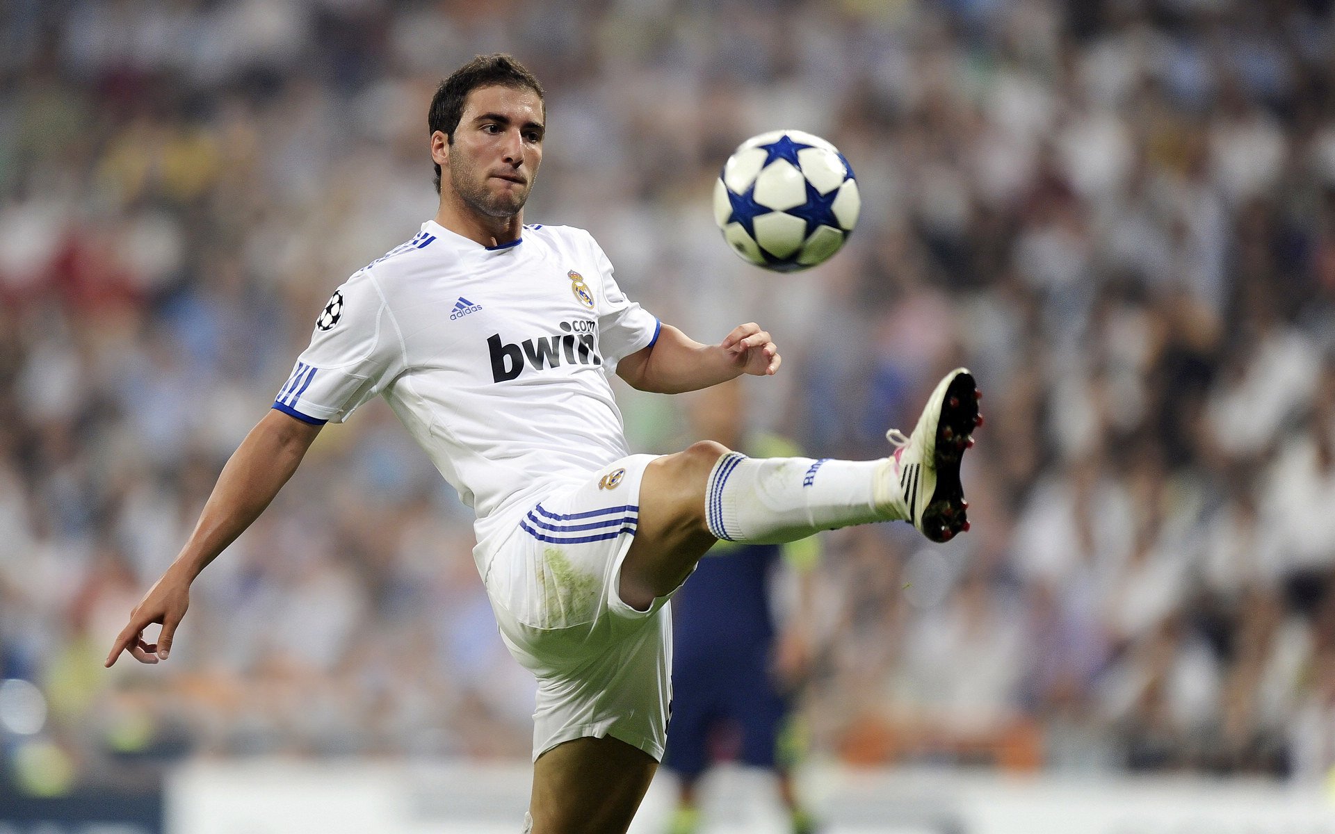 瑞安的防守技术逐渐成为全黑队重要的战术武器，瑞安比赛