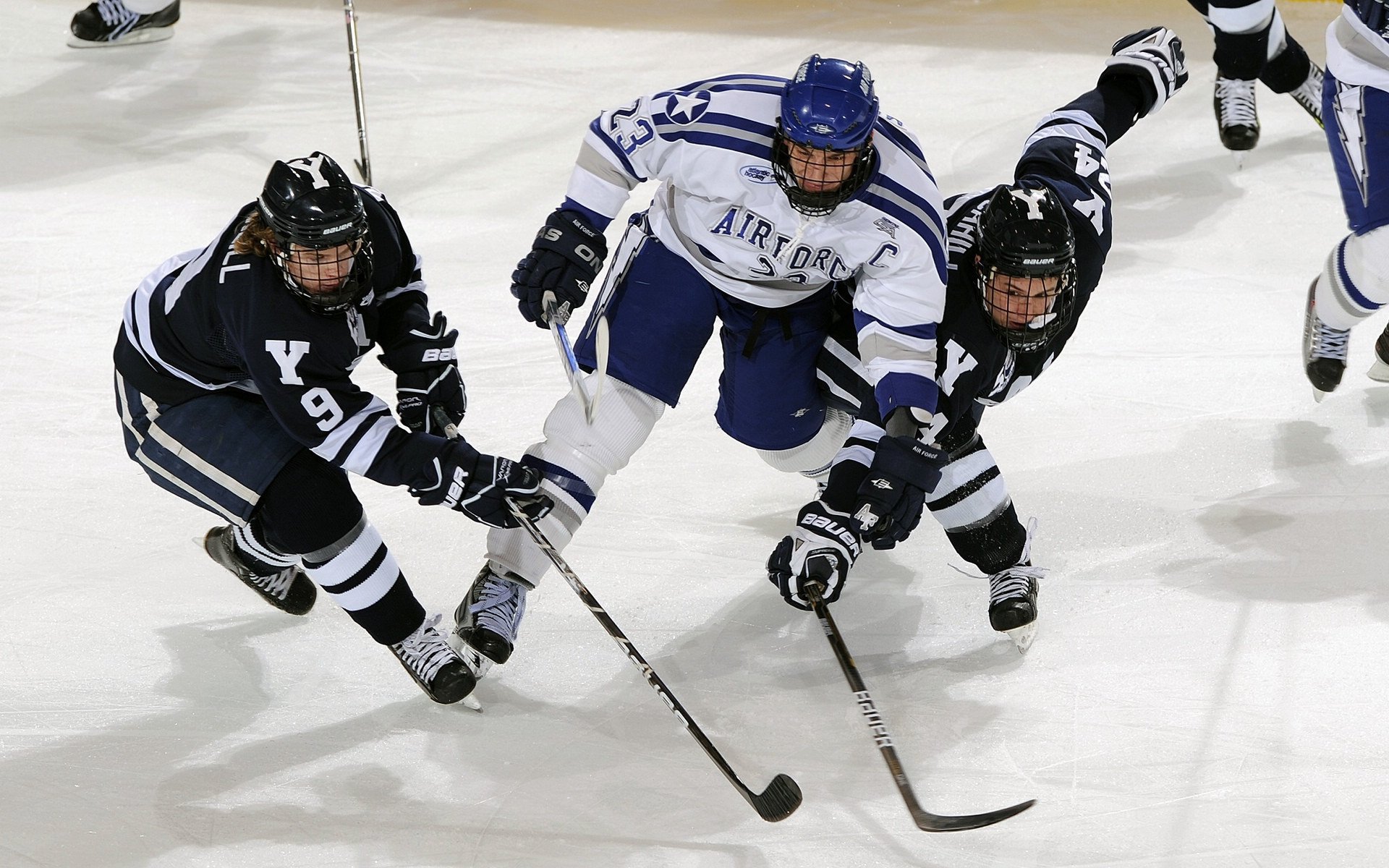 麦肯齐：作为全黑队的后卫，他的速度与技术为球队带来强大动力